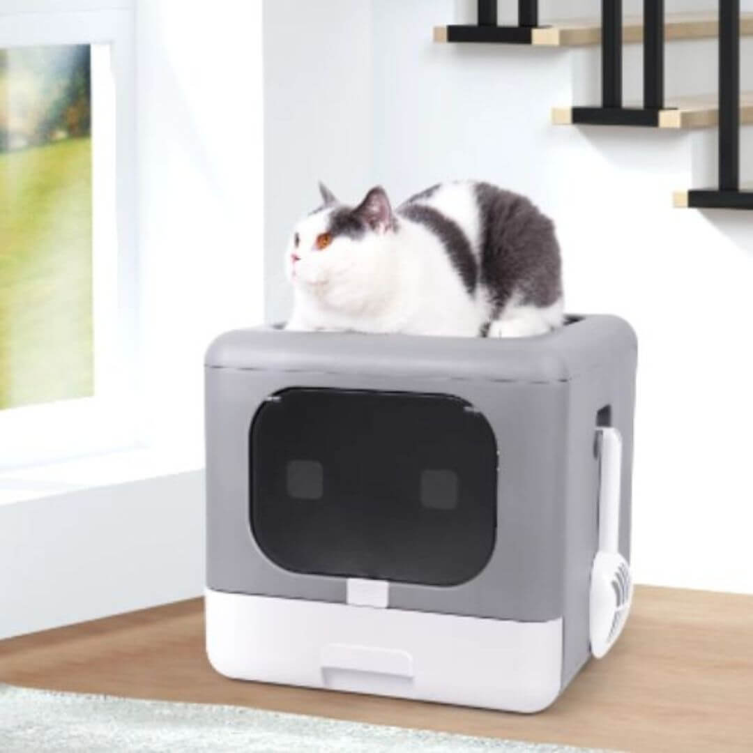 bac à litière chat | confort et propreté assuré - opaschats