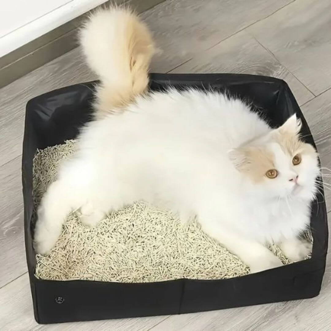bac à litière chat | litière nomade - opaschats