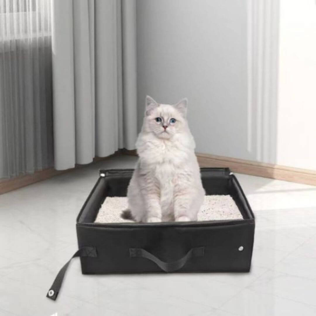 bac à litière chat | litière nomade - opaschats