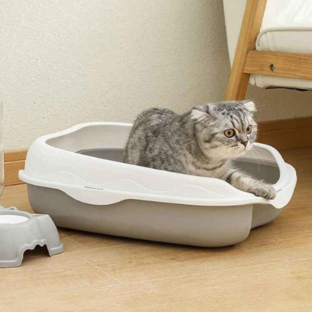 bac à litière pour chat | fresh™ - opaschats