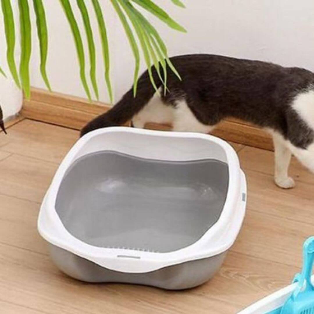 bac à litière pour chat | fresh™ - opaschats
