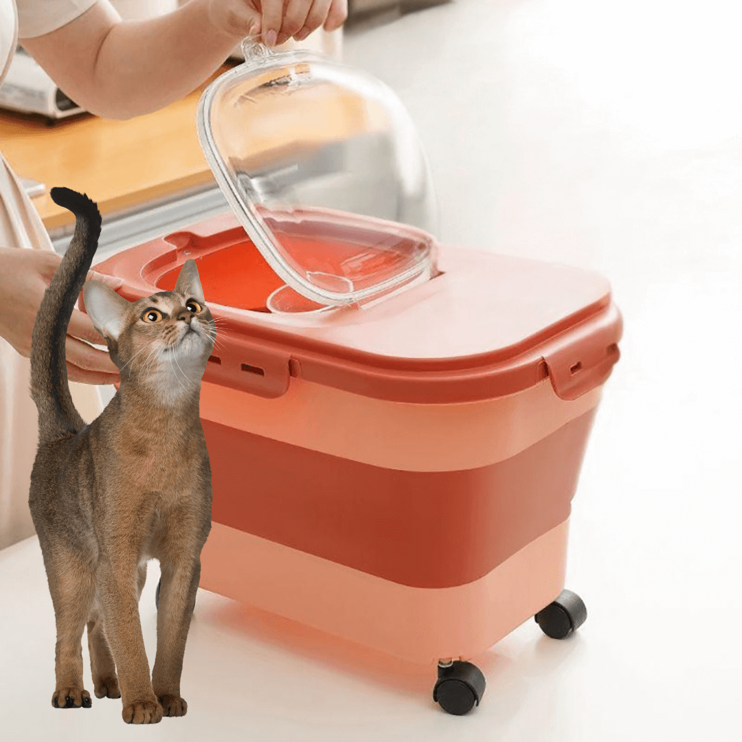 BOITE Á CROQUETTES POUR CHAT |Caddy Croquettes ™ - opaschats