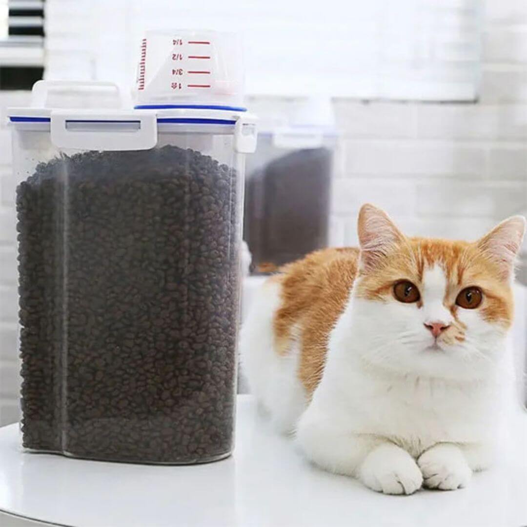 BOITE À CROQUETTES POUR CHAT | Distributeur croquettes™ - opaschats