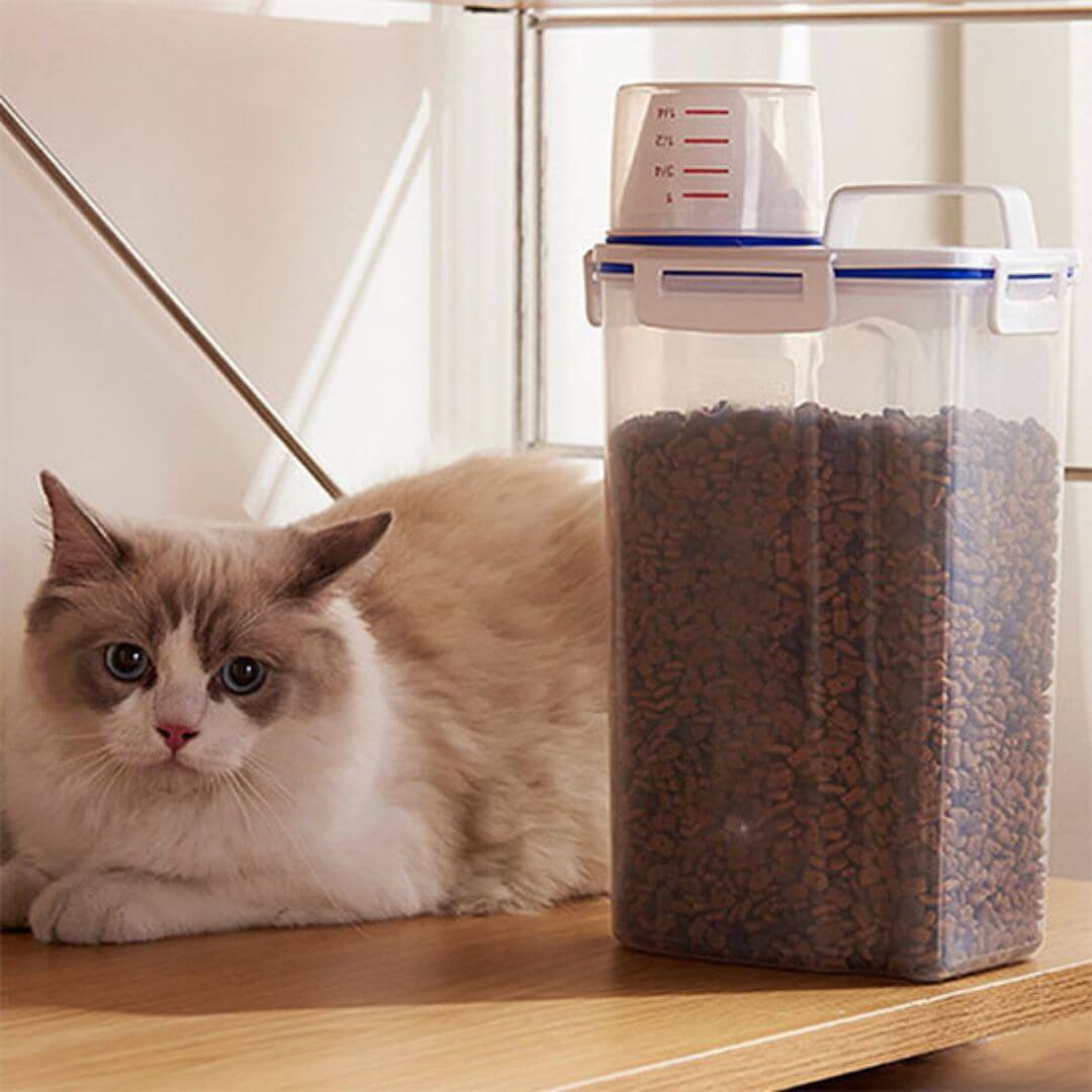 BOITE À CROQUETTES POUR CHAT | Distributeur croquettes™ - opaschats