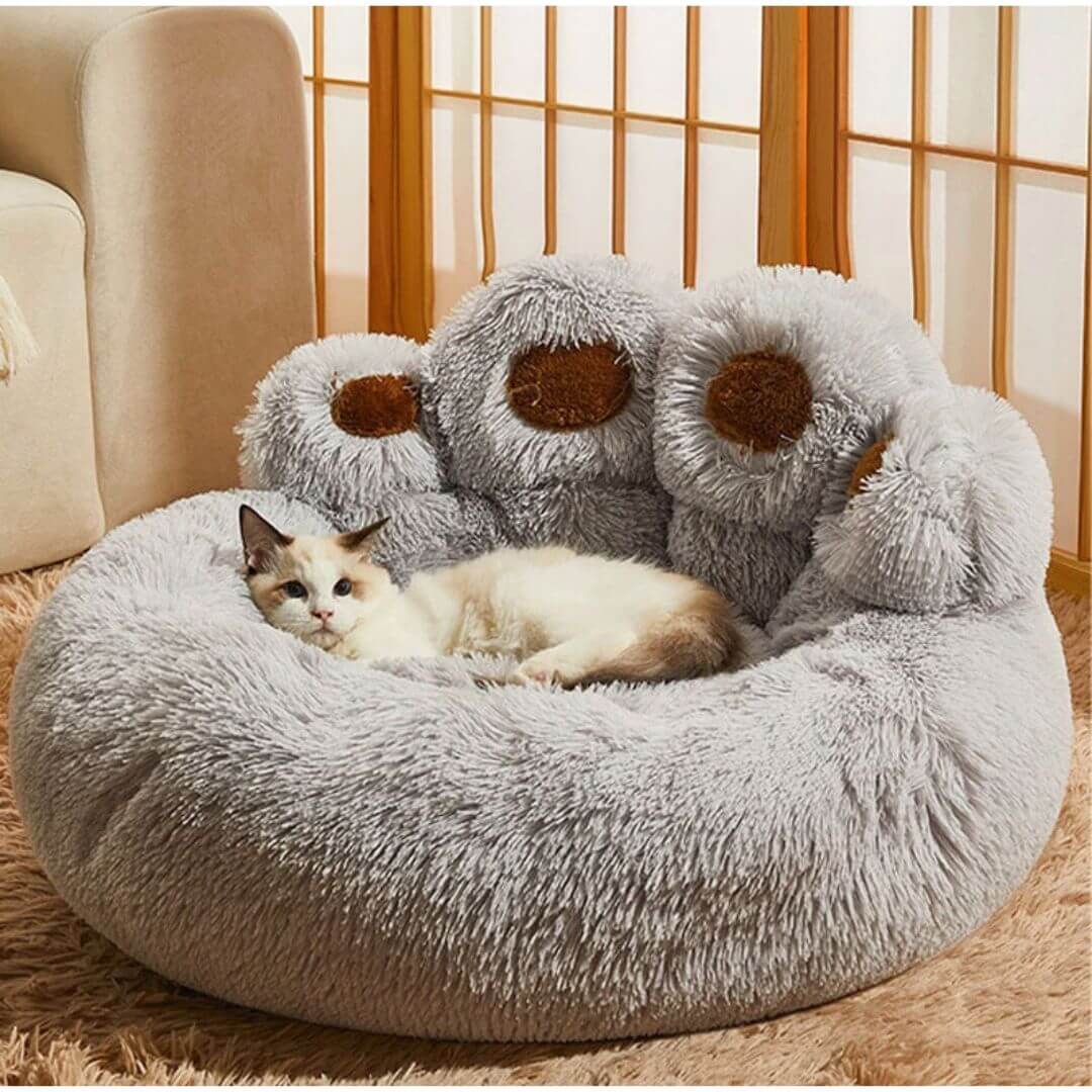 coussin chat | cat bear bedâą - opaschats
