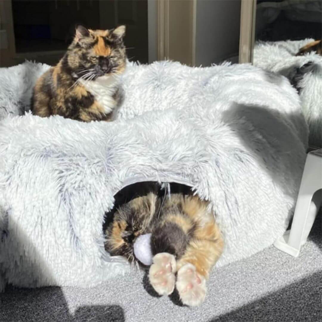 COUSSIN CHAT | Cosycat™ - opaschats