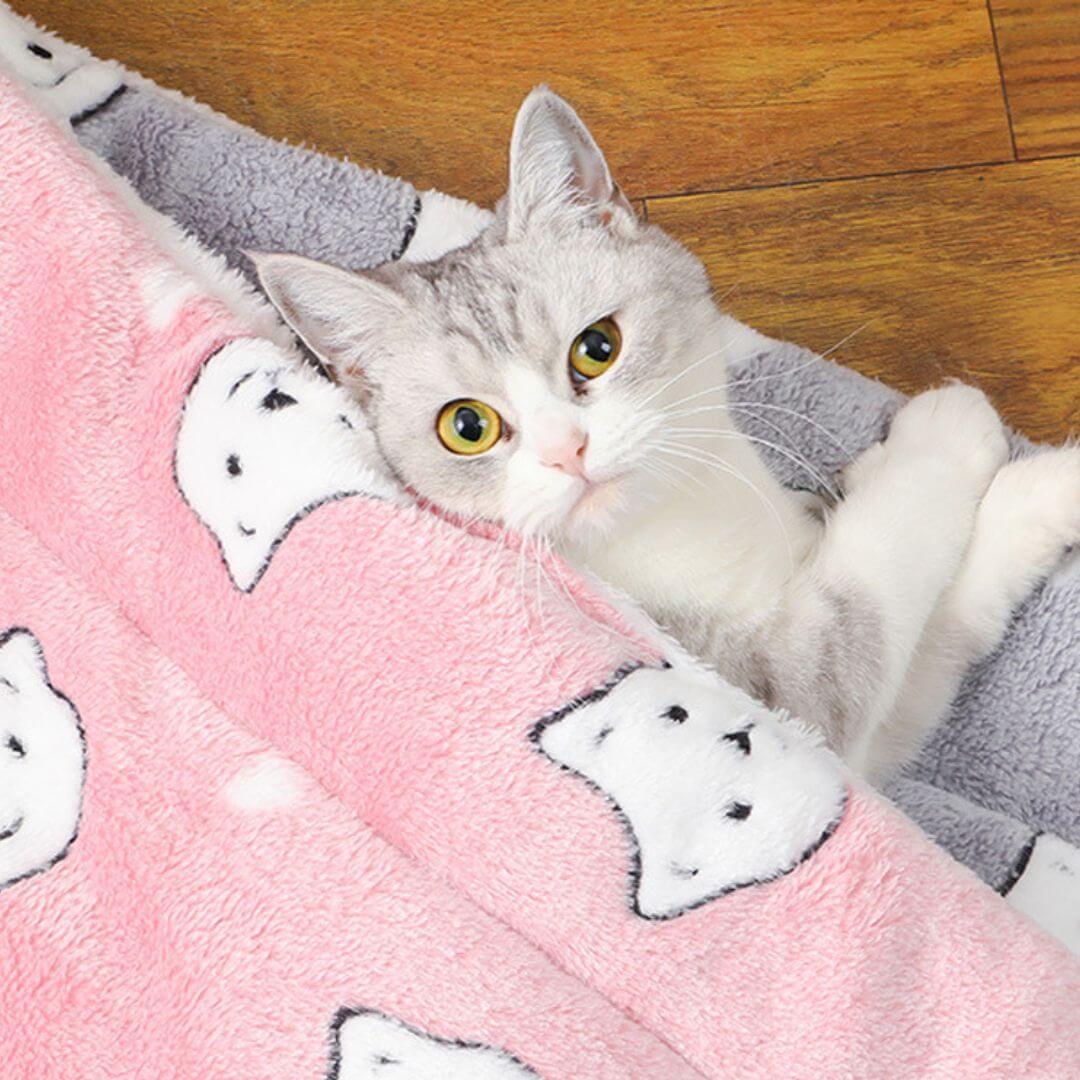 COUSSIN CHAT | Le Confort Révolutionnaire pour Votre Félin™ - opaschats