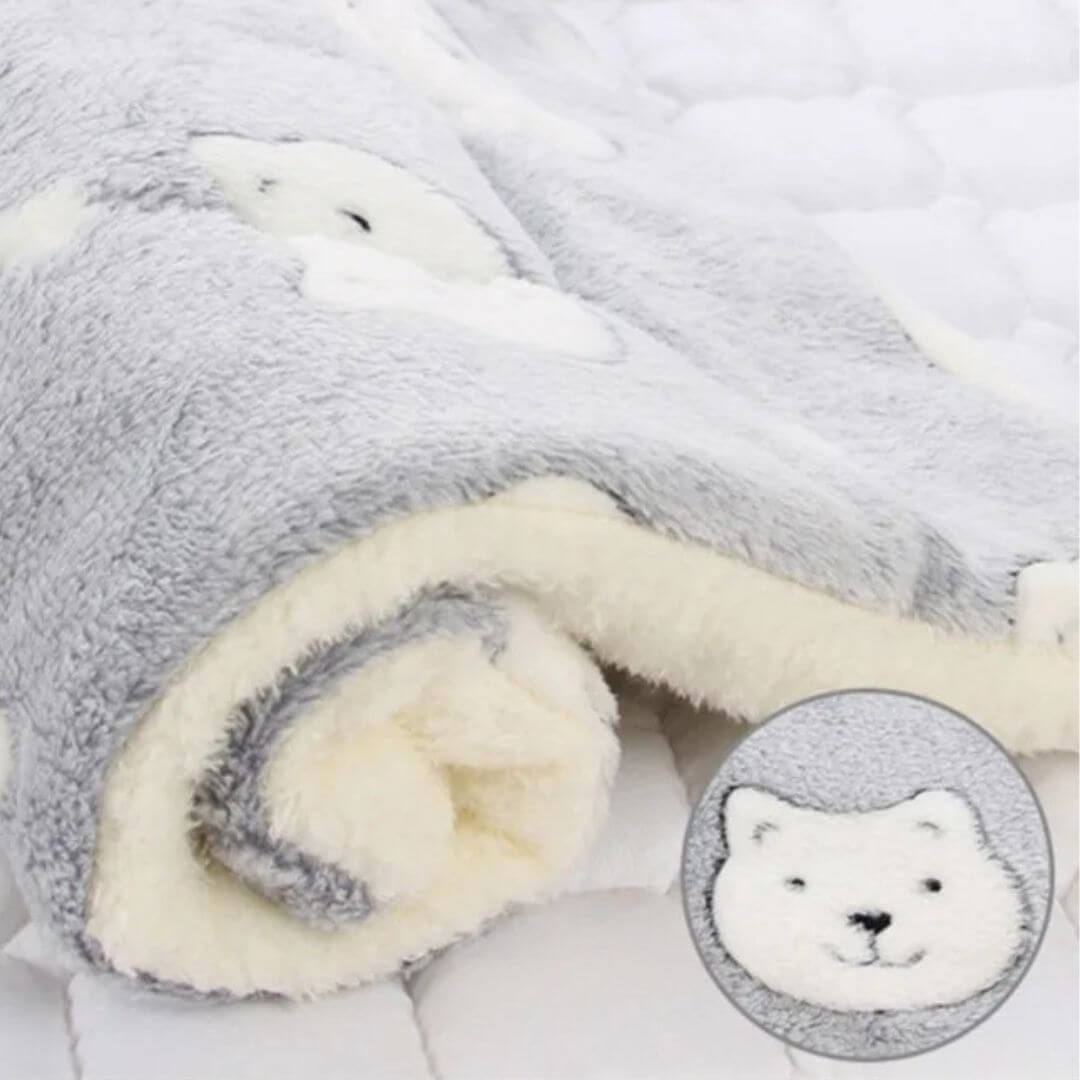 COUSSIN CHAT | Le Confort Révolutionnaire pour Votre Félin™ - opaschats