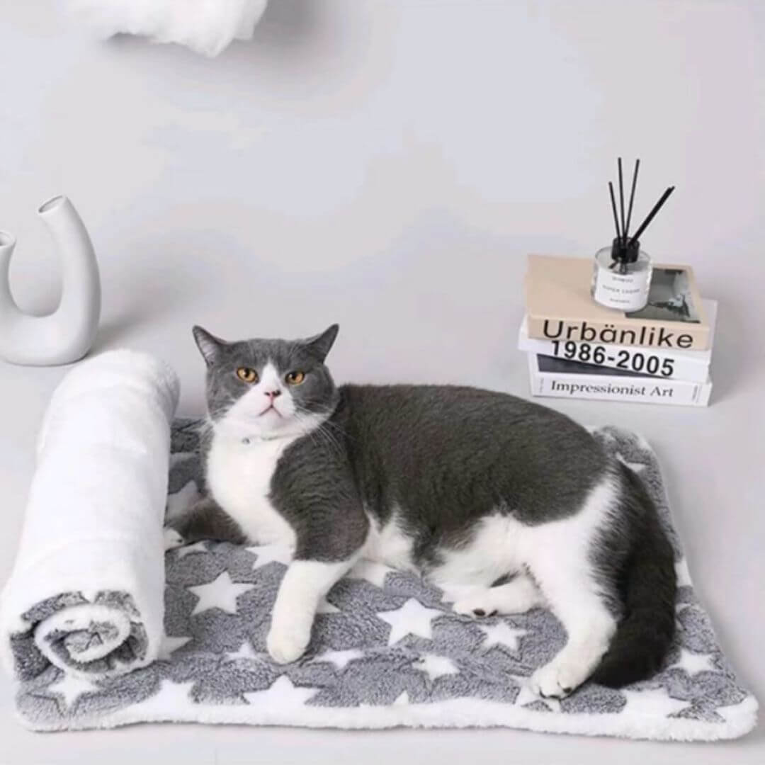 COUSSIN CHAT | Le Confort Révolutionnaire pour Votre Félin™ - opaschats