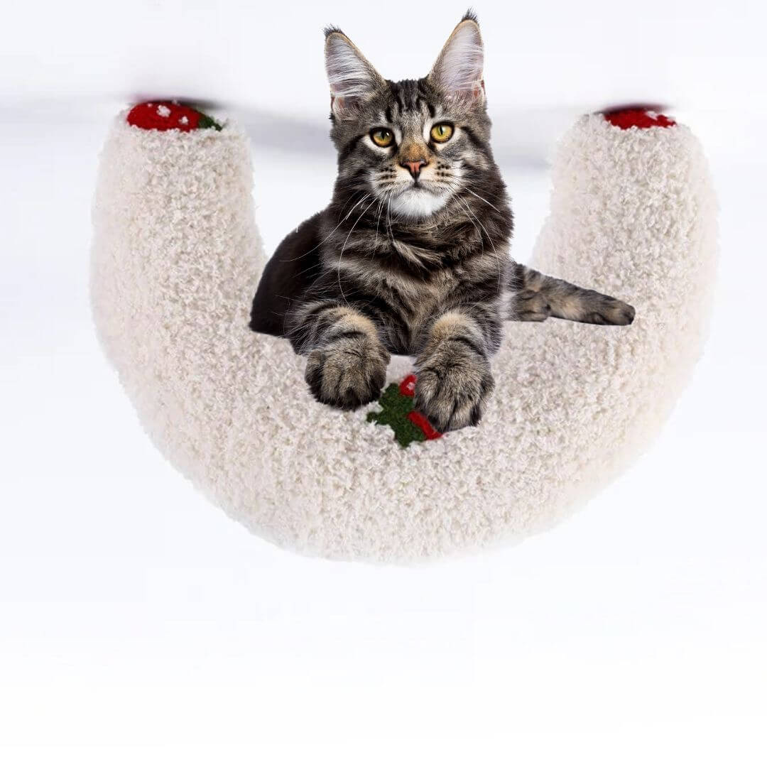 COUSSIN CHAT | Oreiller Cervical Chat™ - opaschats