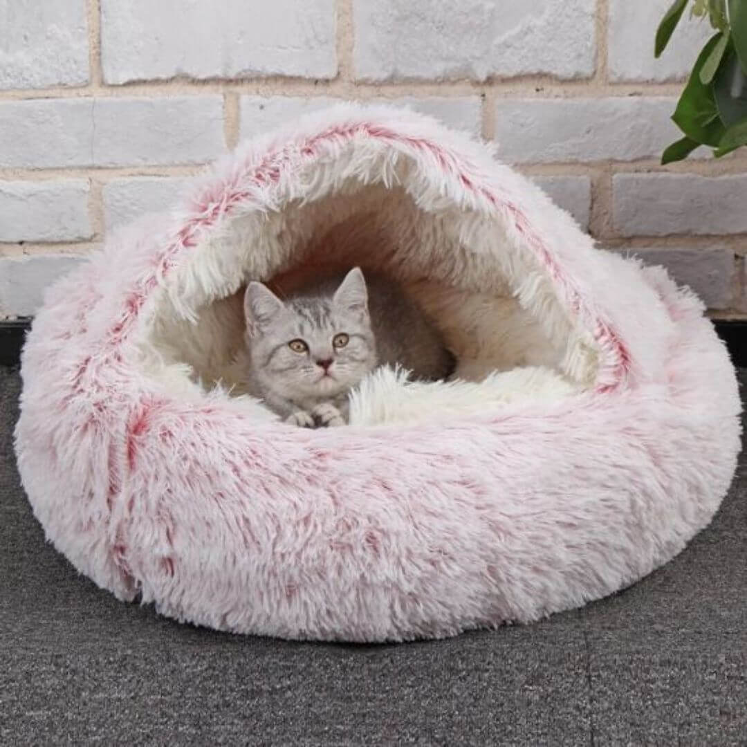 COUSSIN POUR CHAT | Comfycatnest™ - opaschats
