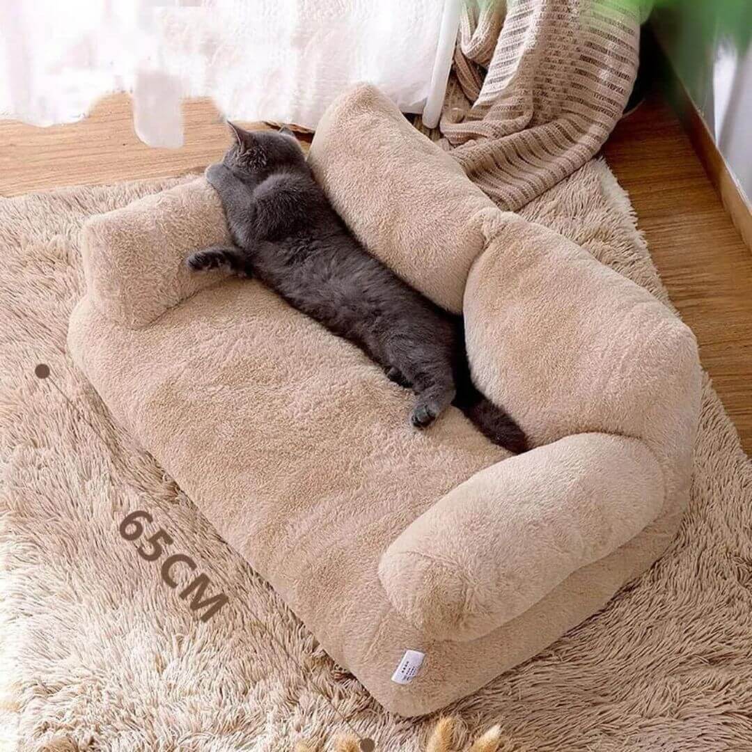 coussin pour chat dimension