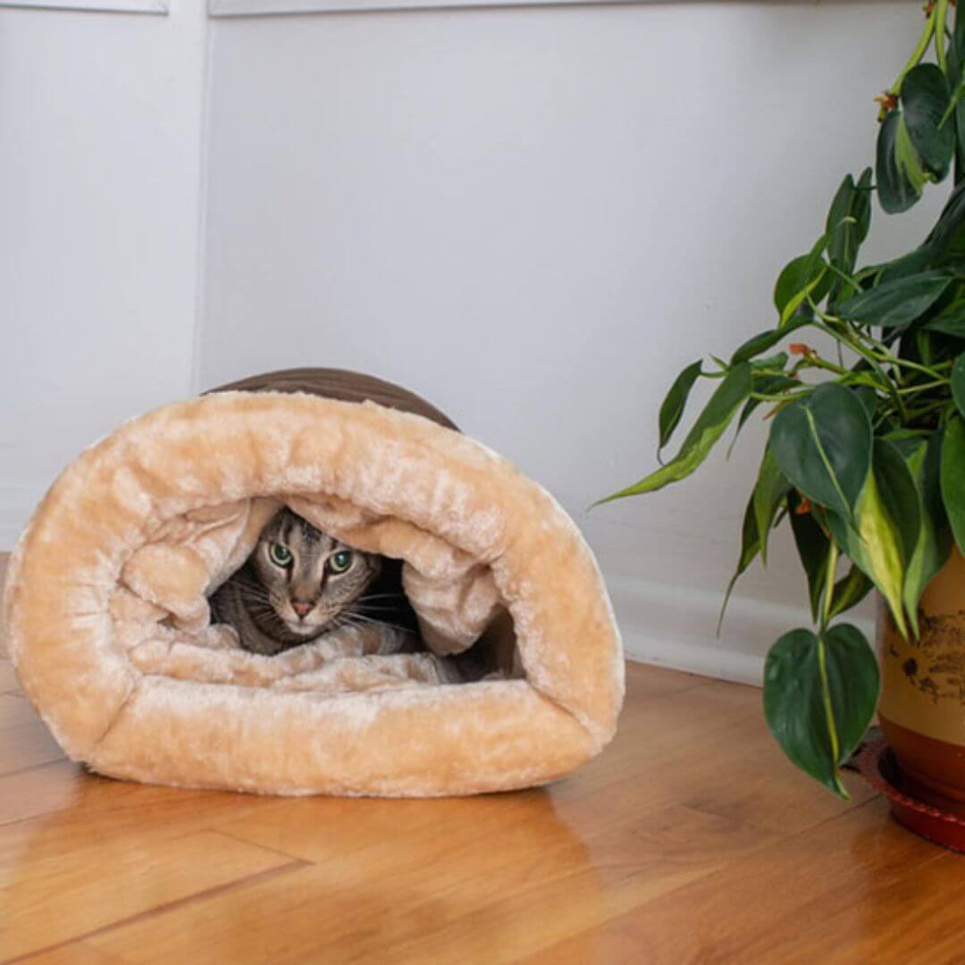 coussin pour chat | Dream Sack™ - opaschats