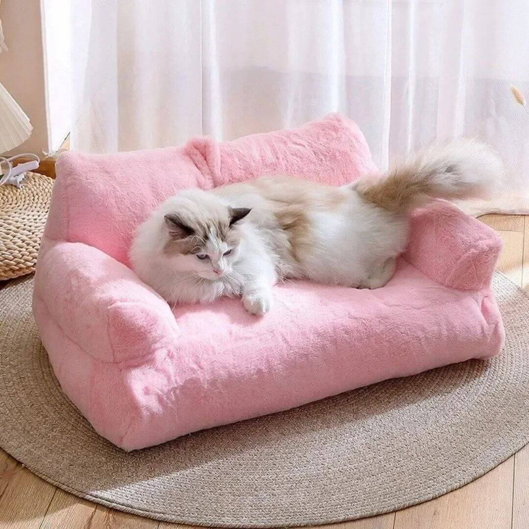 COUSSIN POUR CHAT | Sur Cat™ - opaschats