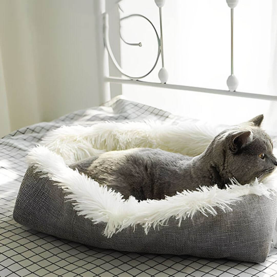 coussin pour chat | tapis douillet - opaschats