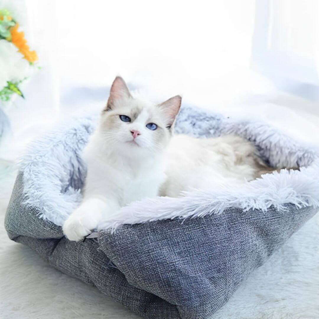 coussin pour chat | tapis douillet - opaschats