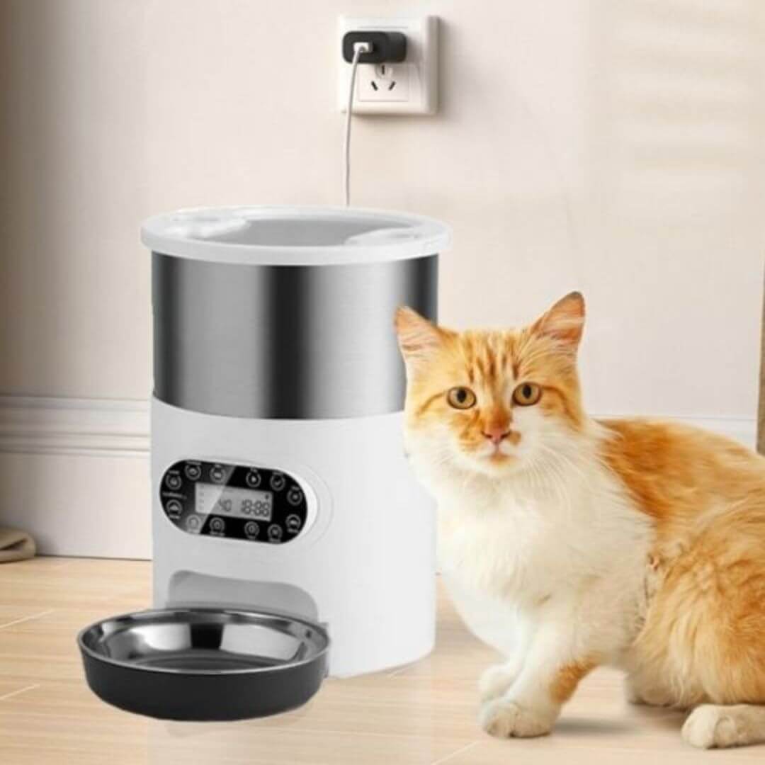 DISTRIBUTEUR AUTOMATIQUE CROQUETTES CHAT | Double Bol™ - opaschats