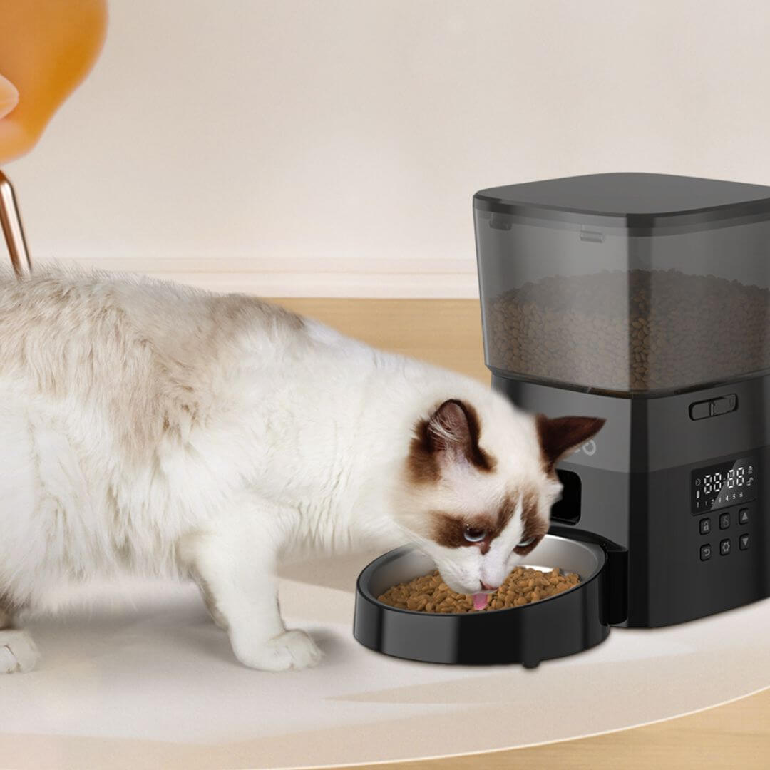 DISTRIBUTEUR CROQUETTES CHAT | Programmable™ - opaschats