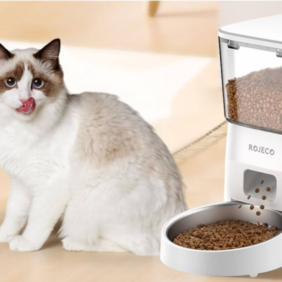 DISTRIBUTEUR CROQUETTES CHAT | Programmable™ - opaschats