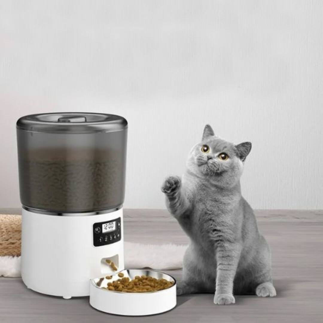 DISTRIBUTEUR CROQUETTES CHAT | Snack Time™ - opaschats