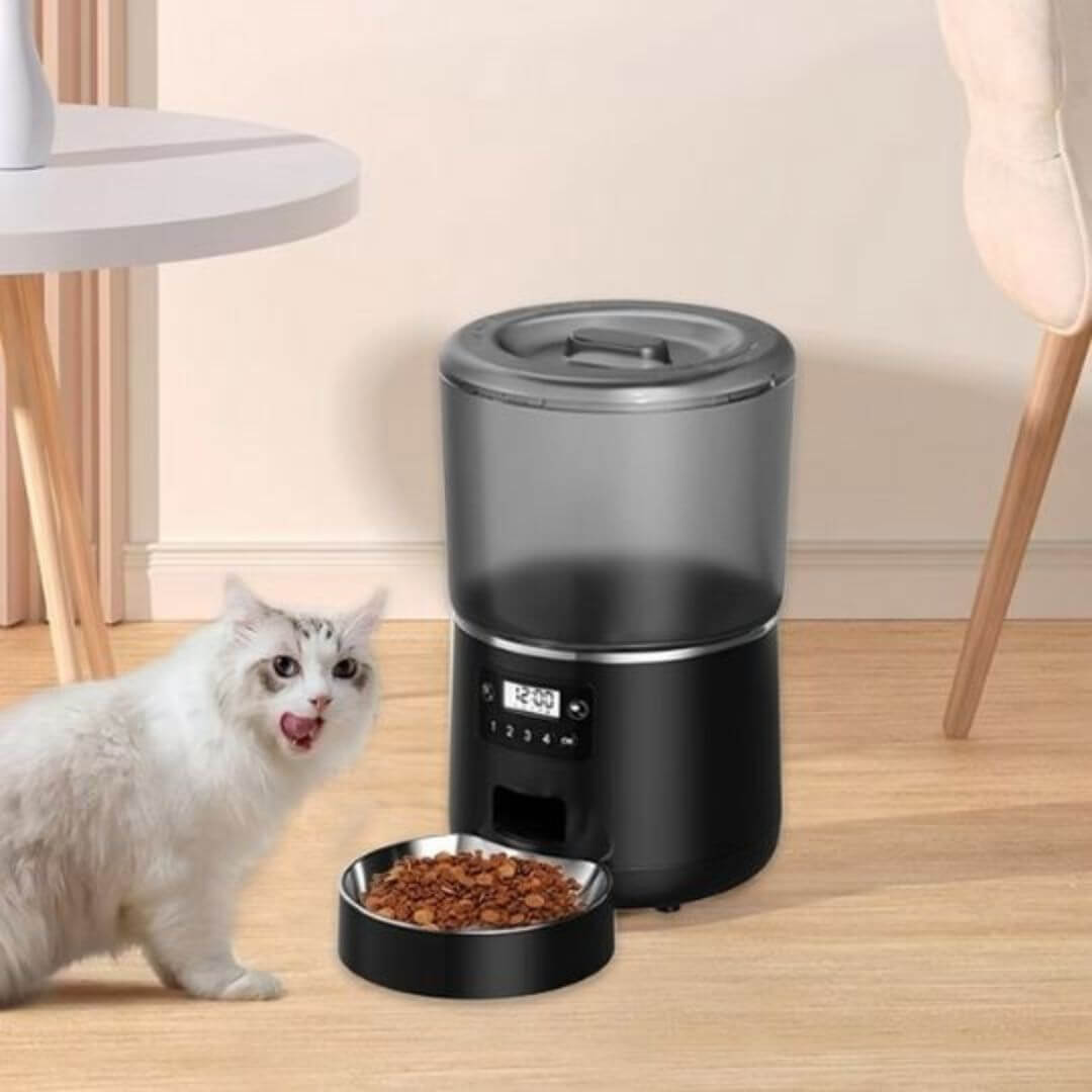 DISTRIBUTEUR CROQUETTES CHAT | Snack Time™ - opaschats
