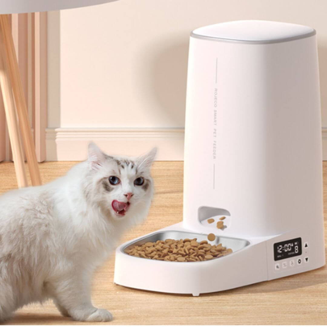 DISTRIBUTEUR CROQUETTES CHAT | wifi Chat™ - opaschats