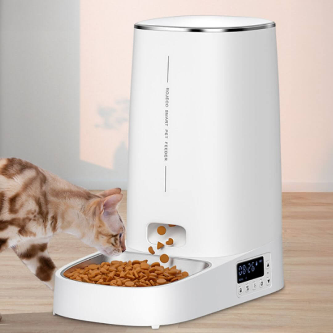 DISTRIBUTEUR CROQUETTES CHAT | wifi Chat™ - opaschats