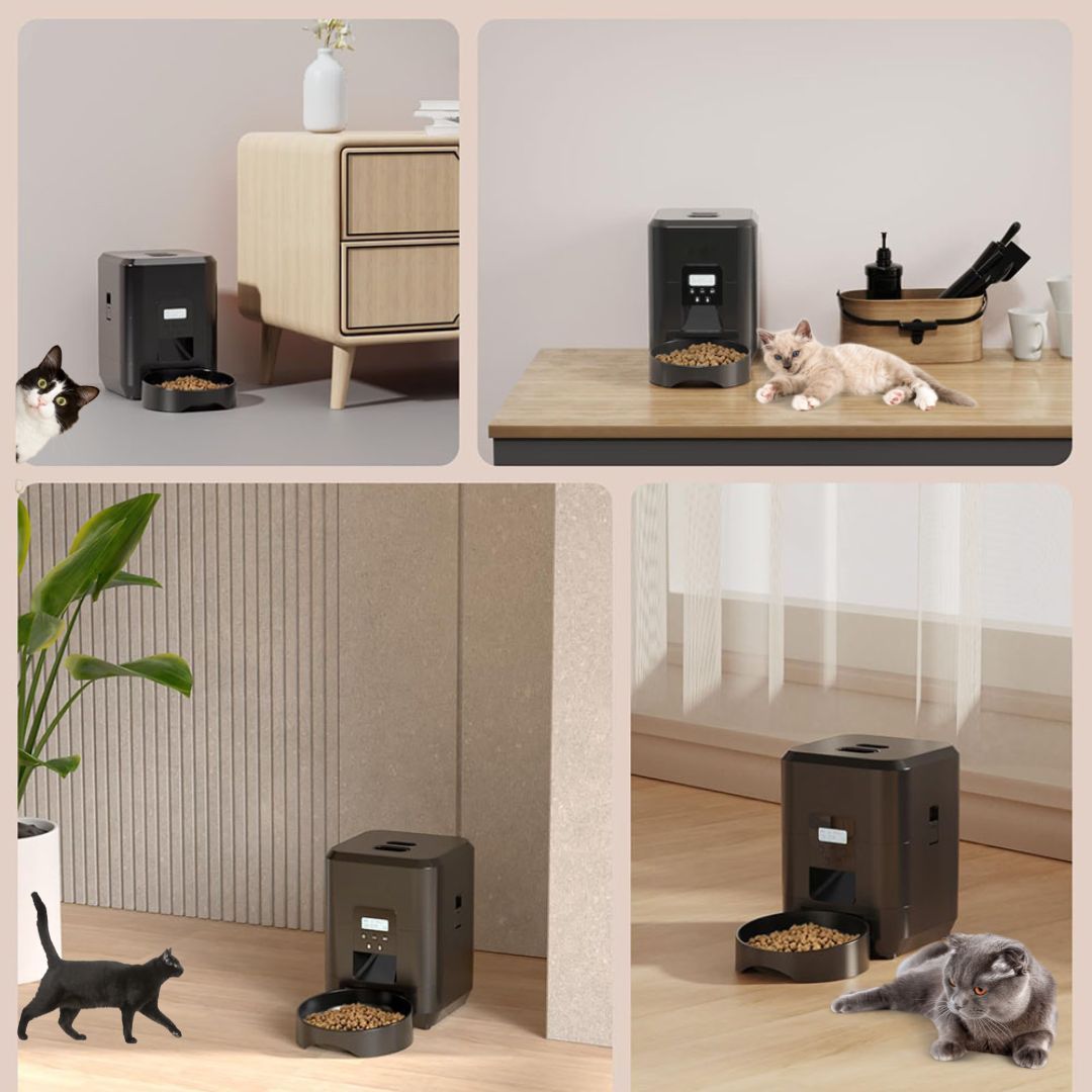 DISTRIBUTEUR DE CROQUETTES POUR CHAT | Croquettes à distance™ - opaschats