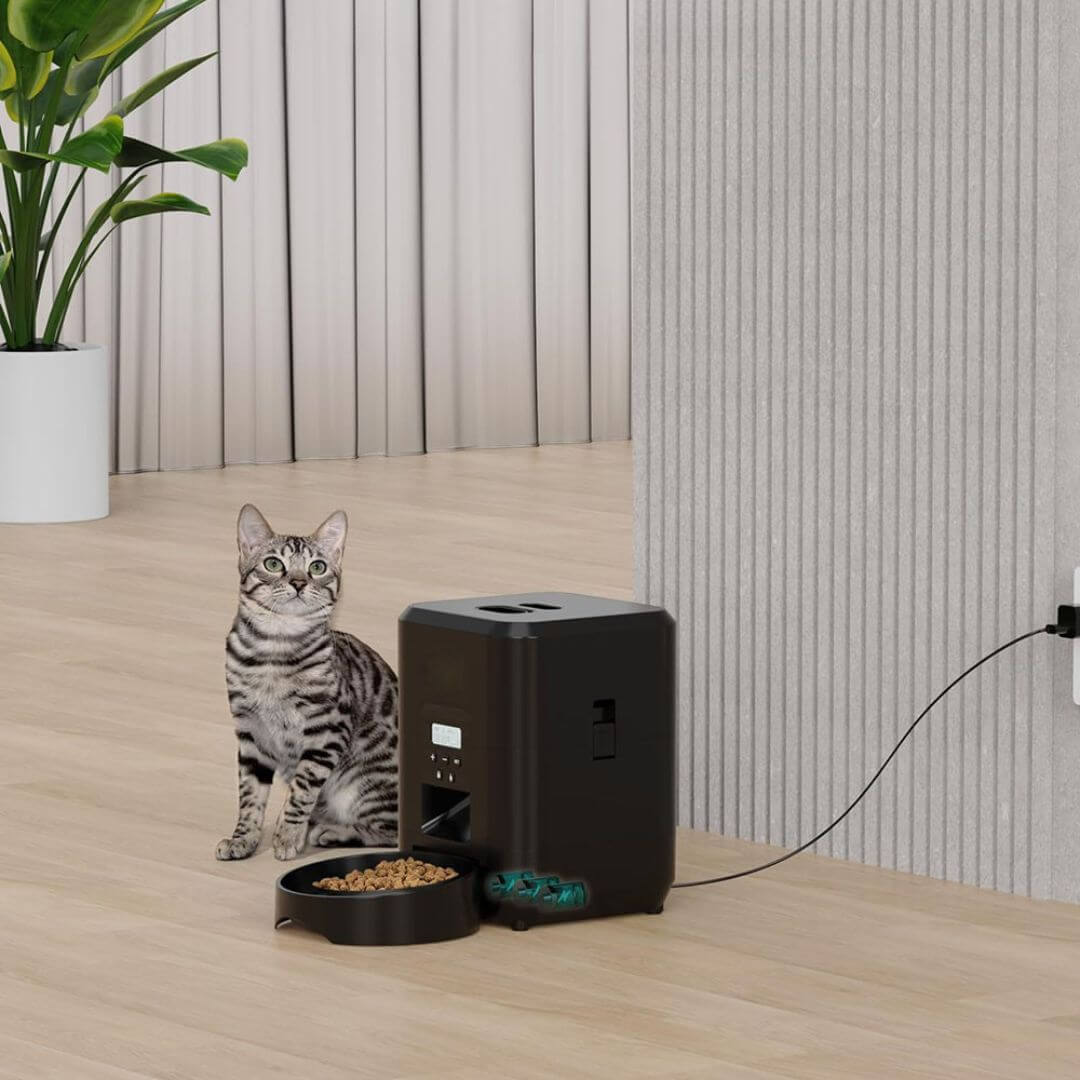 DISTRIBUTEUR DE CROQUETTES POUR CHAT | Croquettes à distance™ - opaschats