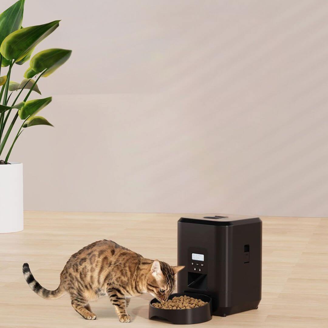 DISTRIBUTEUR DE CROQUETTES POUR CHAT | Croquettes à distance™ - opaschats