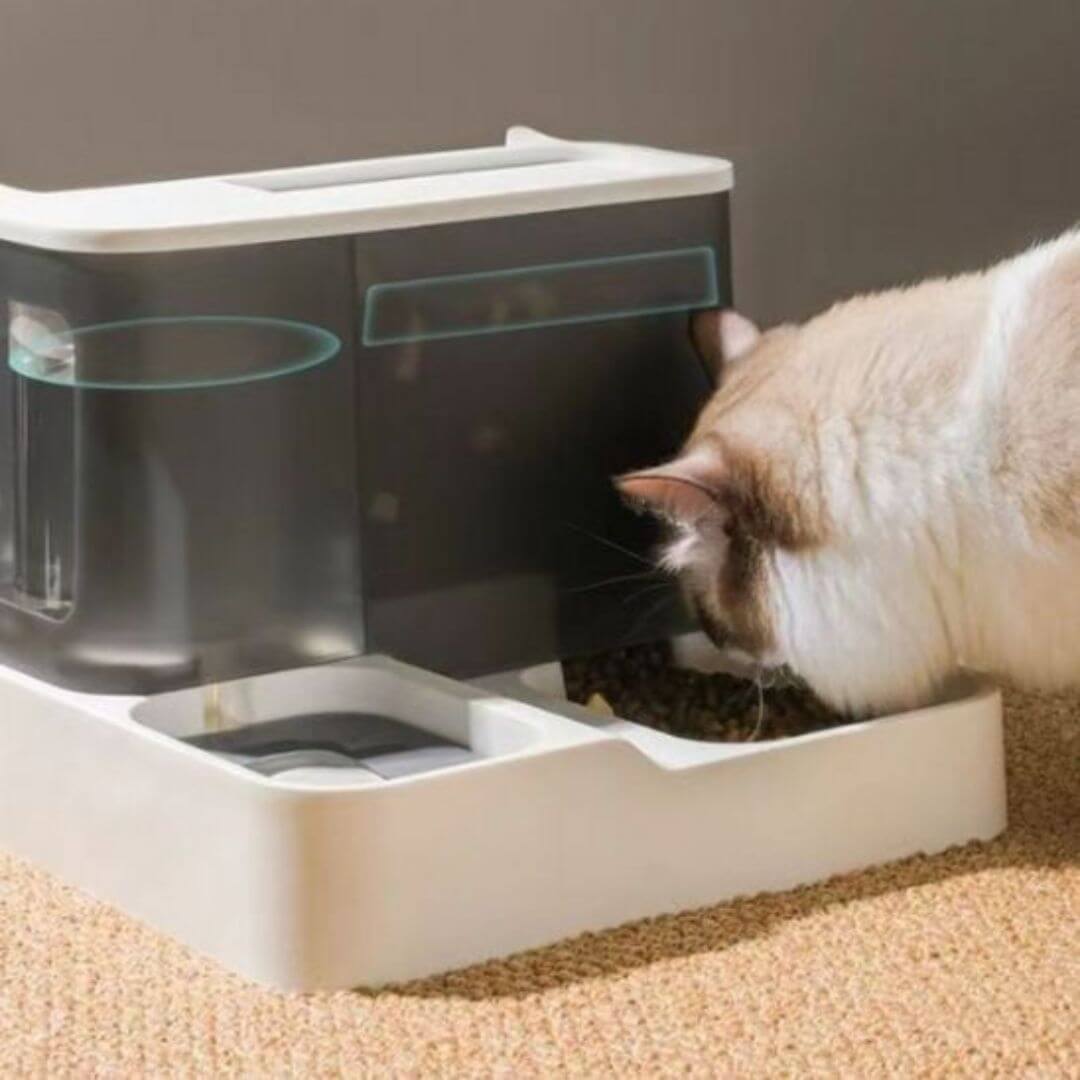 DISTRIBUTEUR DE CROQUETTES POUR CHAT | NourriChat™ - opaschats