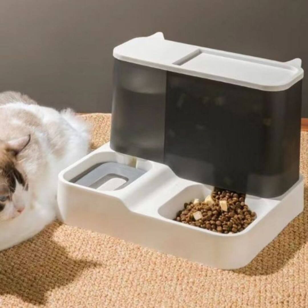 DISTRIBUTEUR DE CROQUETTES POUR CHAT | NourriChat™ - opaschats