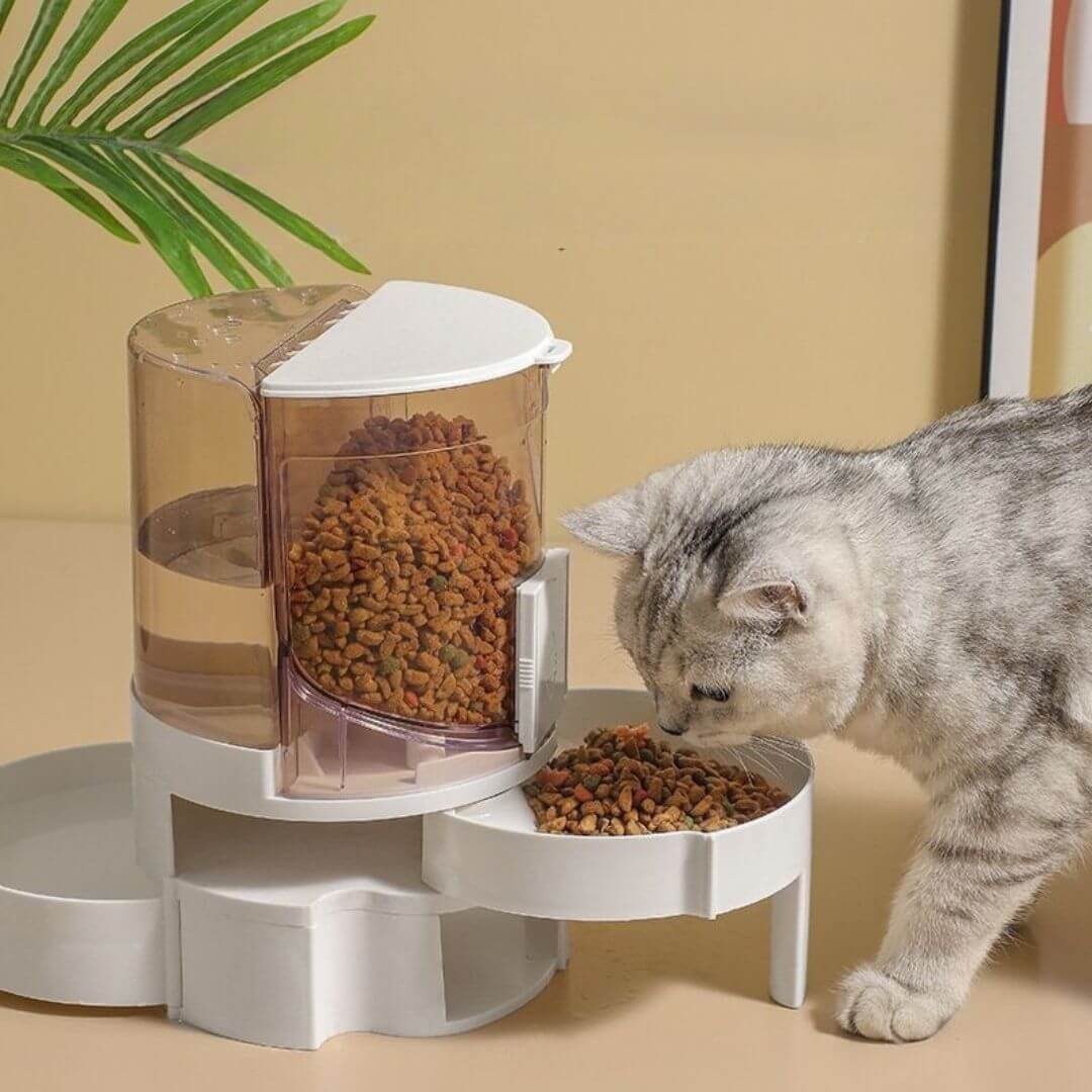 distributeur de croquettes pour chat rose