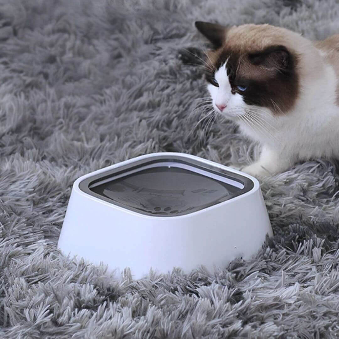 DISTRIBUTEUR D'EAU | Chat Hydraterâą - opaschats