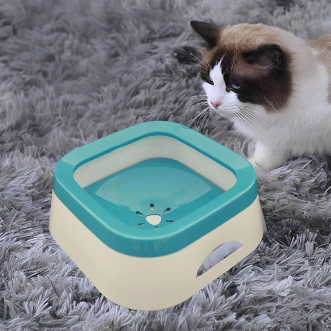 DISTRIBUTEUR D'EAU | Chat Hydraterâą - opaschats