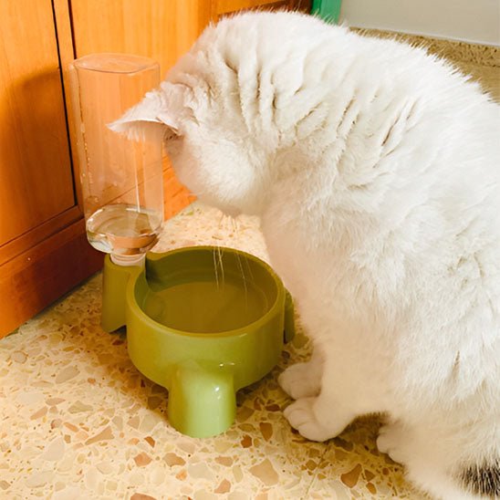 DISTRIBUTEUR EAU CHAT | Simple mais Gourmandâą - opaschats