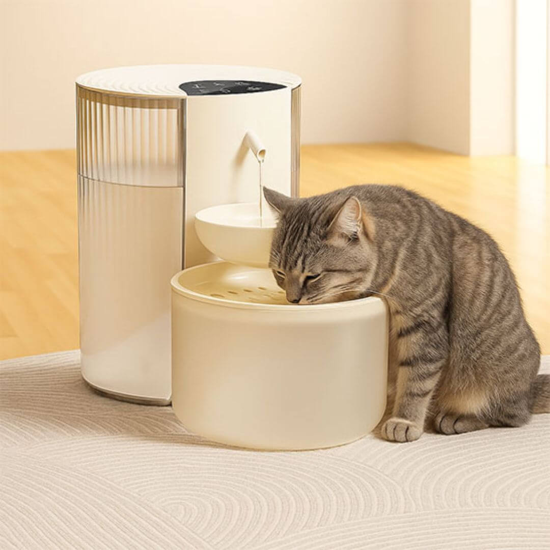 FONTAINE À EAU CHAT | Abreuvoir chat™ - opaschats