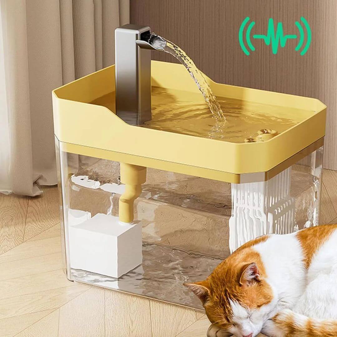 FONTAINE À EAU CHAT | Belle Fontaine™ - opaschats