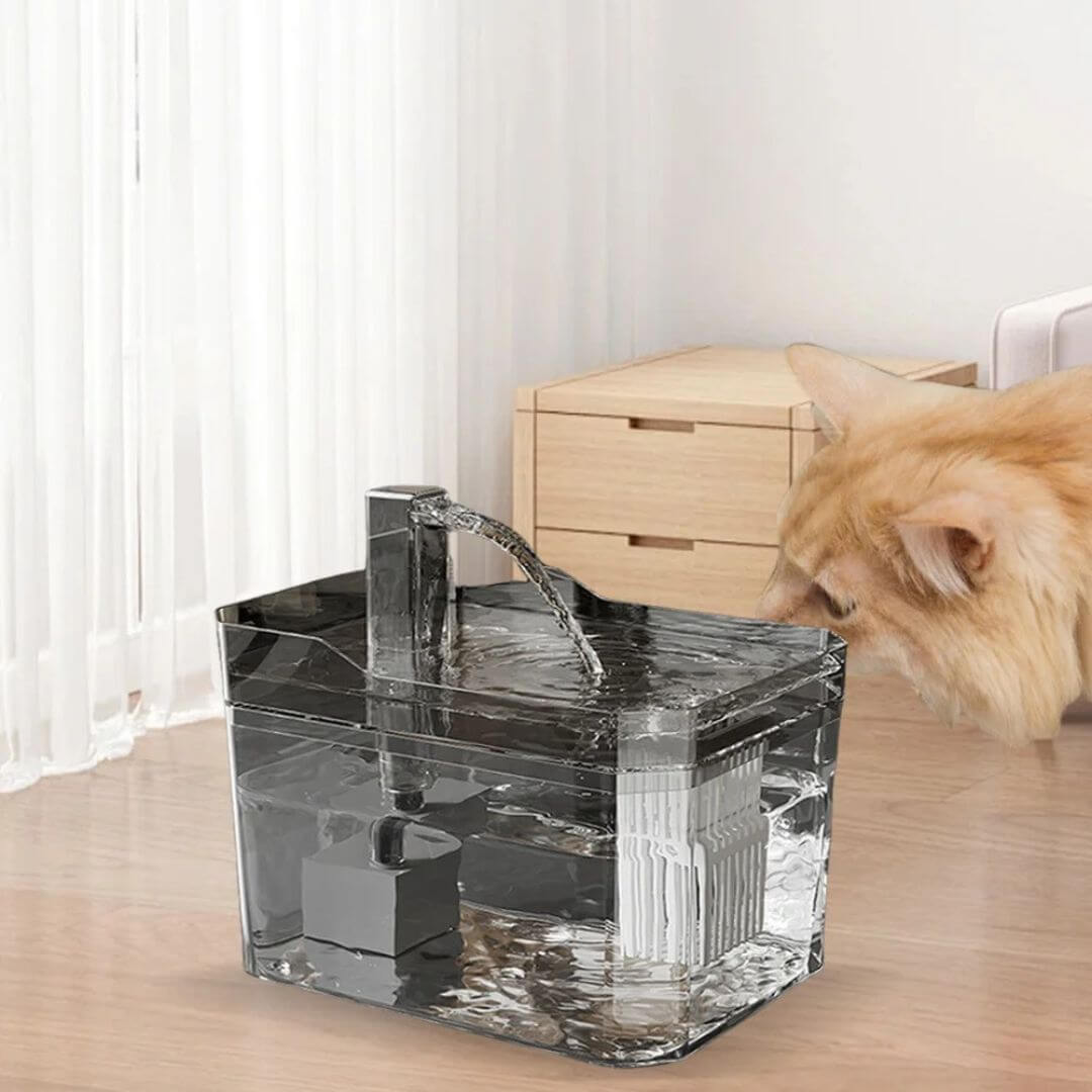 FONTAINE À EAU CHAT | Belle Fontaine™ - opaschats