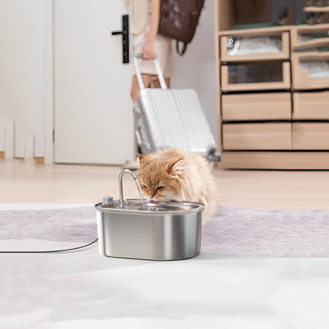 FONTAINE A EAU CHAT | Bulle de Fraîcheur™ - opaschats