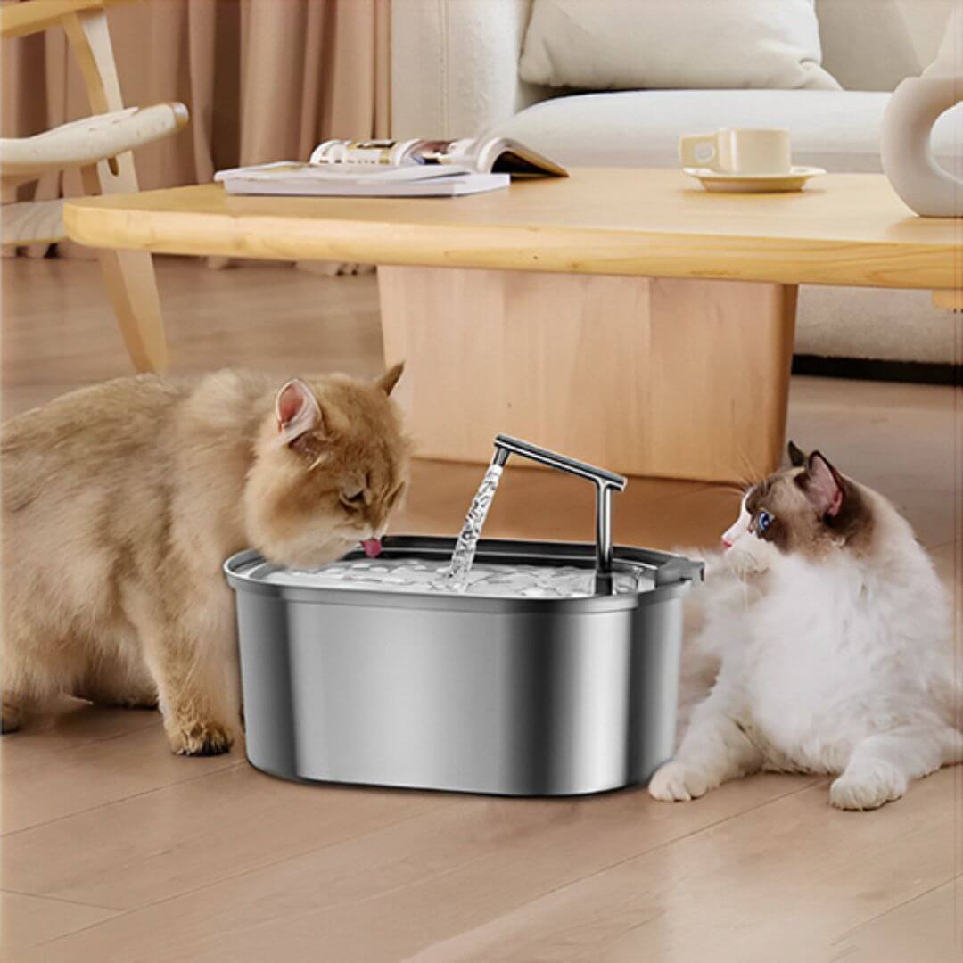 FONTAINE A EAU CHAT | Bulle de Fraîcheur™ - opaschats