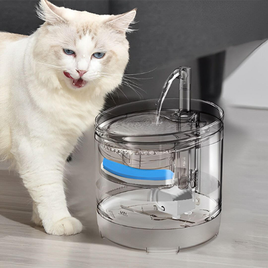 FONTAINE A EAU CHAT | Cascade Enchantée™ - opaschats