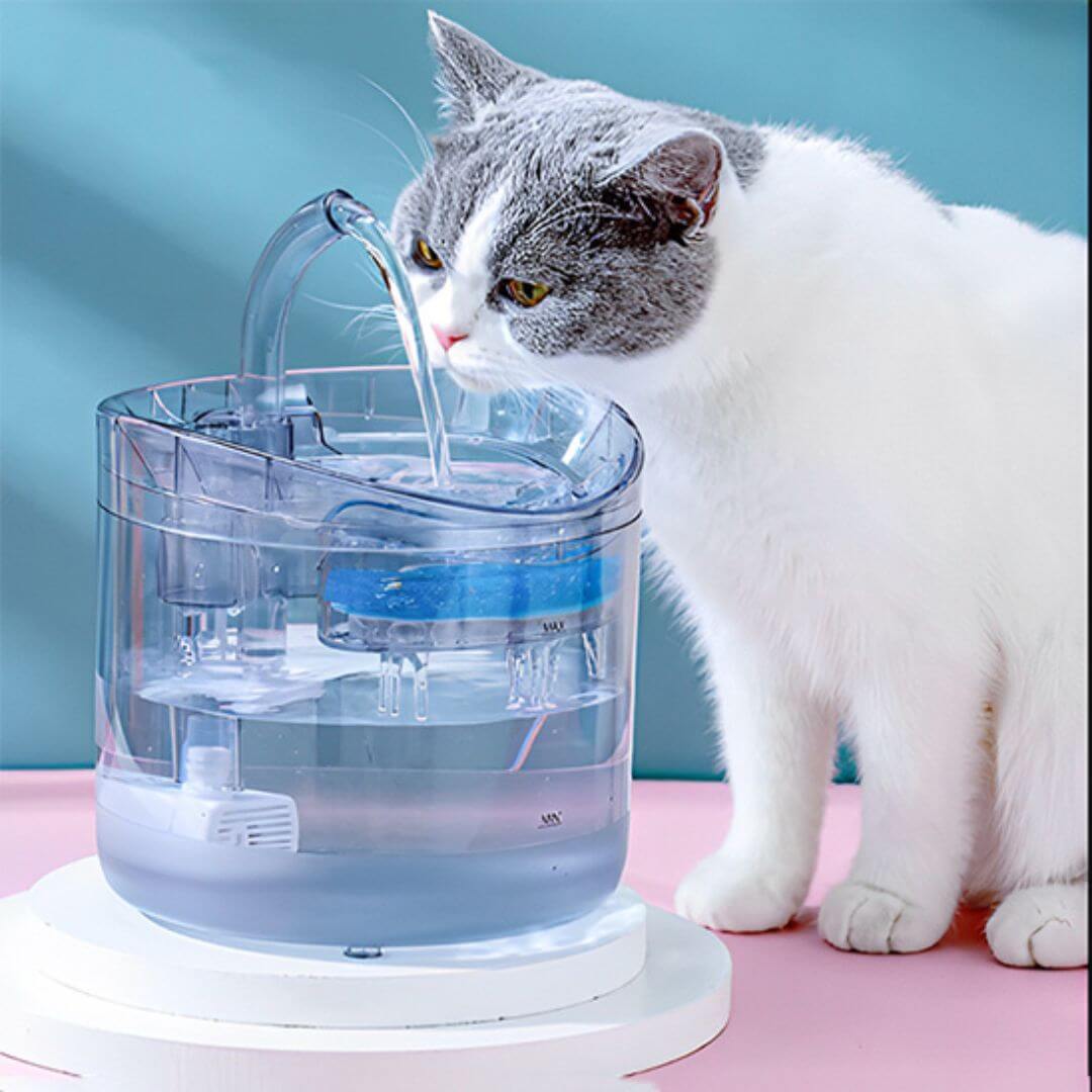FONTAINE A EAU CHAT | Cascade Enchantée™ - opaschats