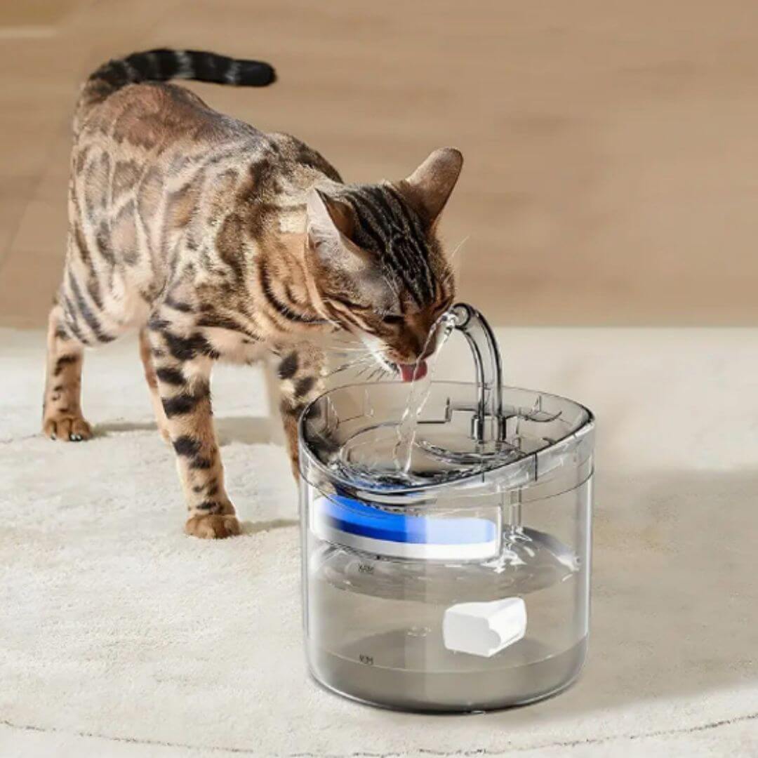 FONTAINE A EAU CHAT | Cascade Enchantée™ - opaschats