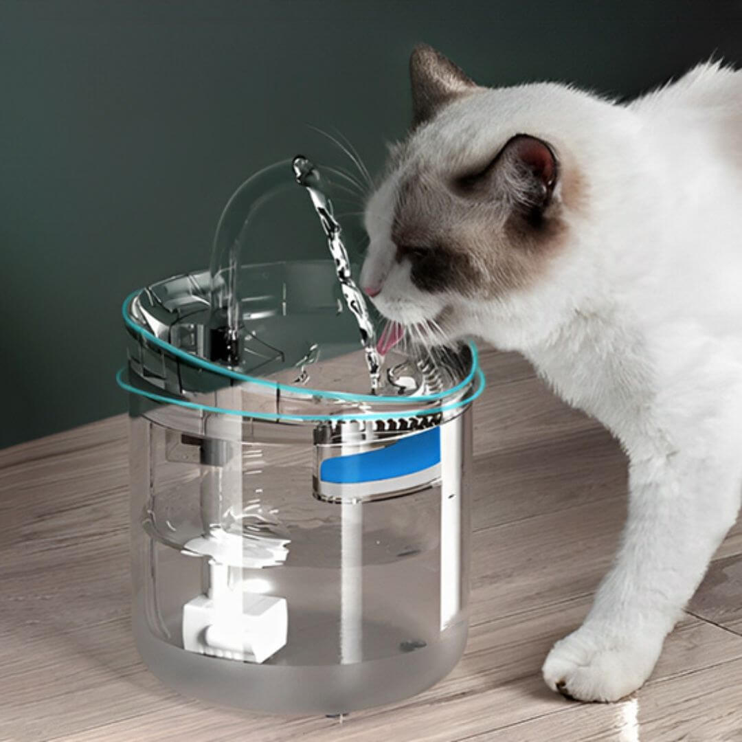 FONTAINE A EAU CHAT | Cascade Enchantée™ - opaschats