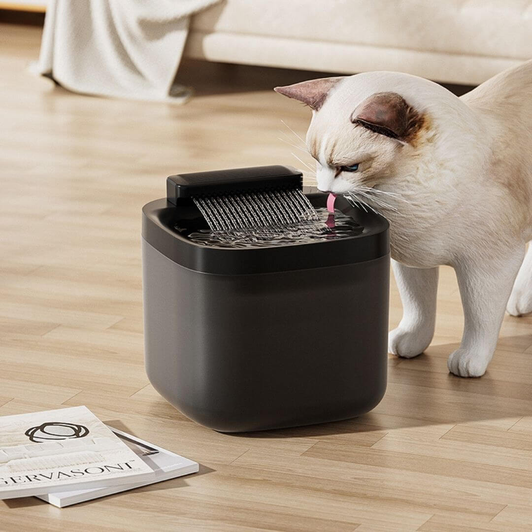 FONTAINE À EAU CHAT | Cascade naturelle™ - opaschats
