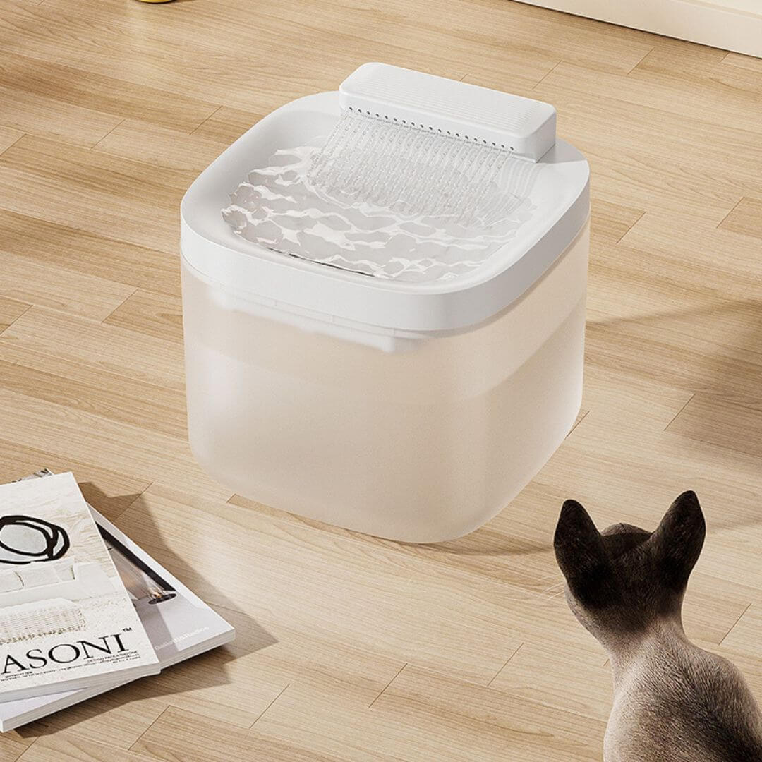 FONTAINE À EAU CHAT | Cascade naturelle™ - opaschats