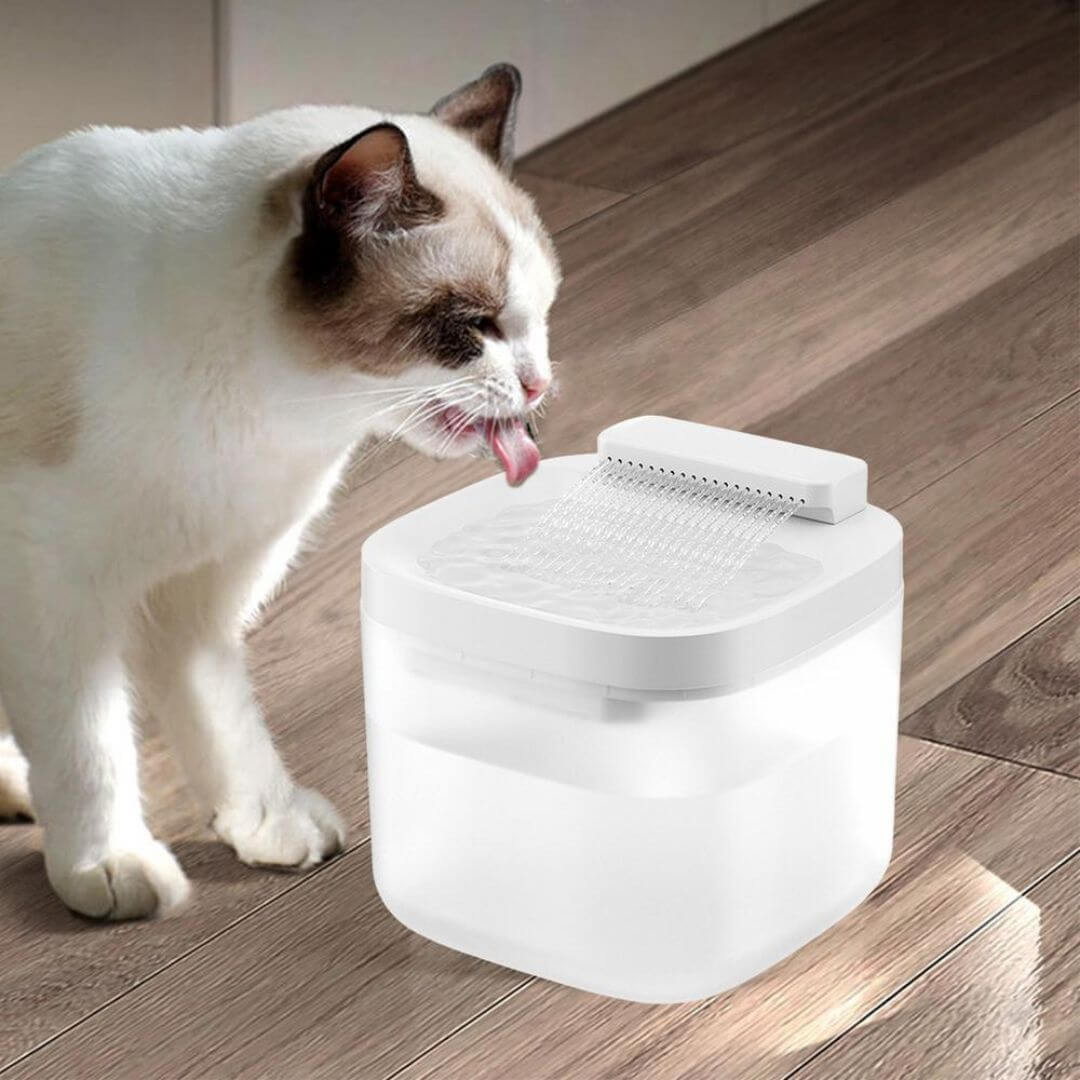 FONTAINE À EAU CHAT | Cascade naturelle™ - opaschats