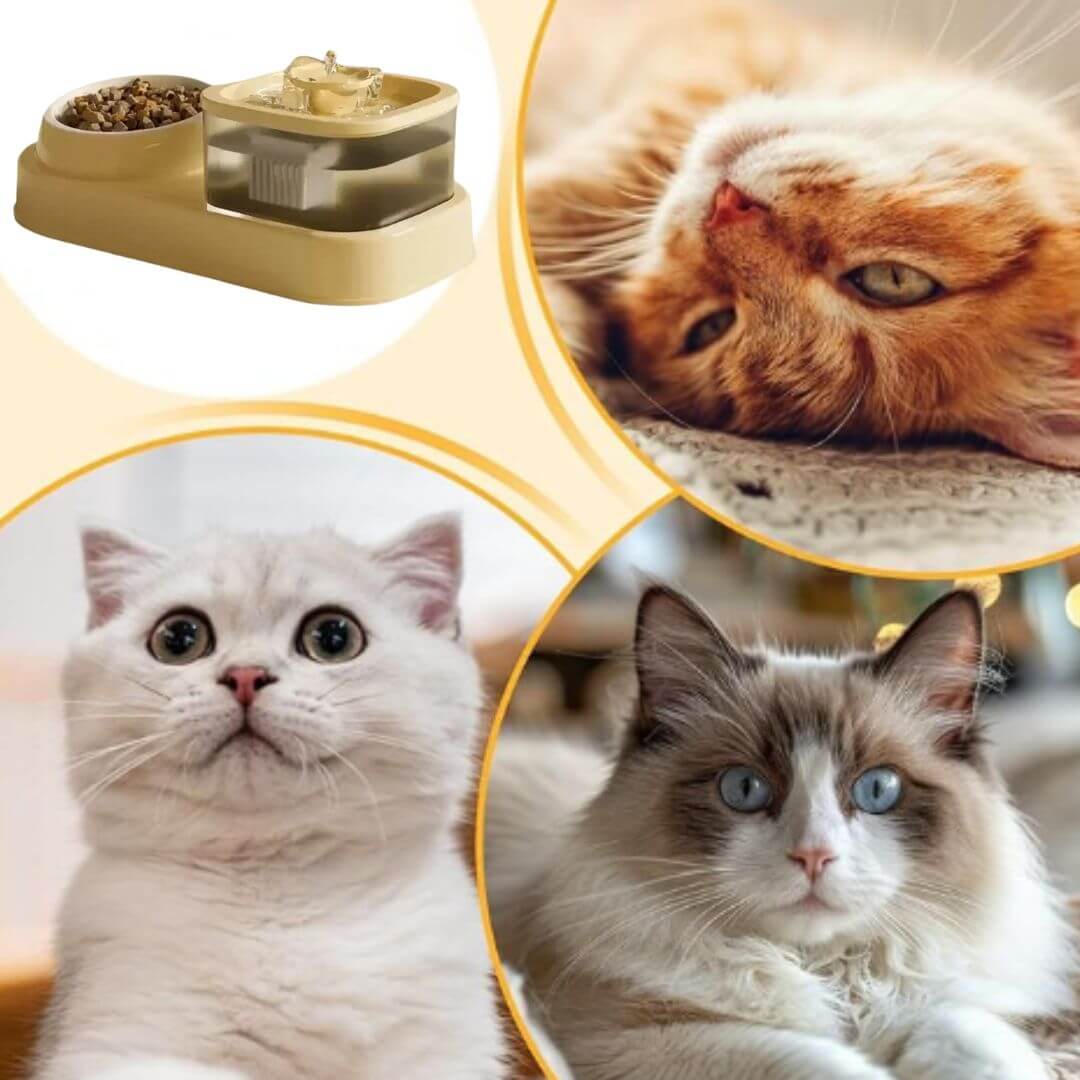 FONTAINE A EAU CHAT | Mangeoire intégrée™ - opaschats