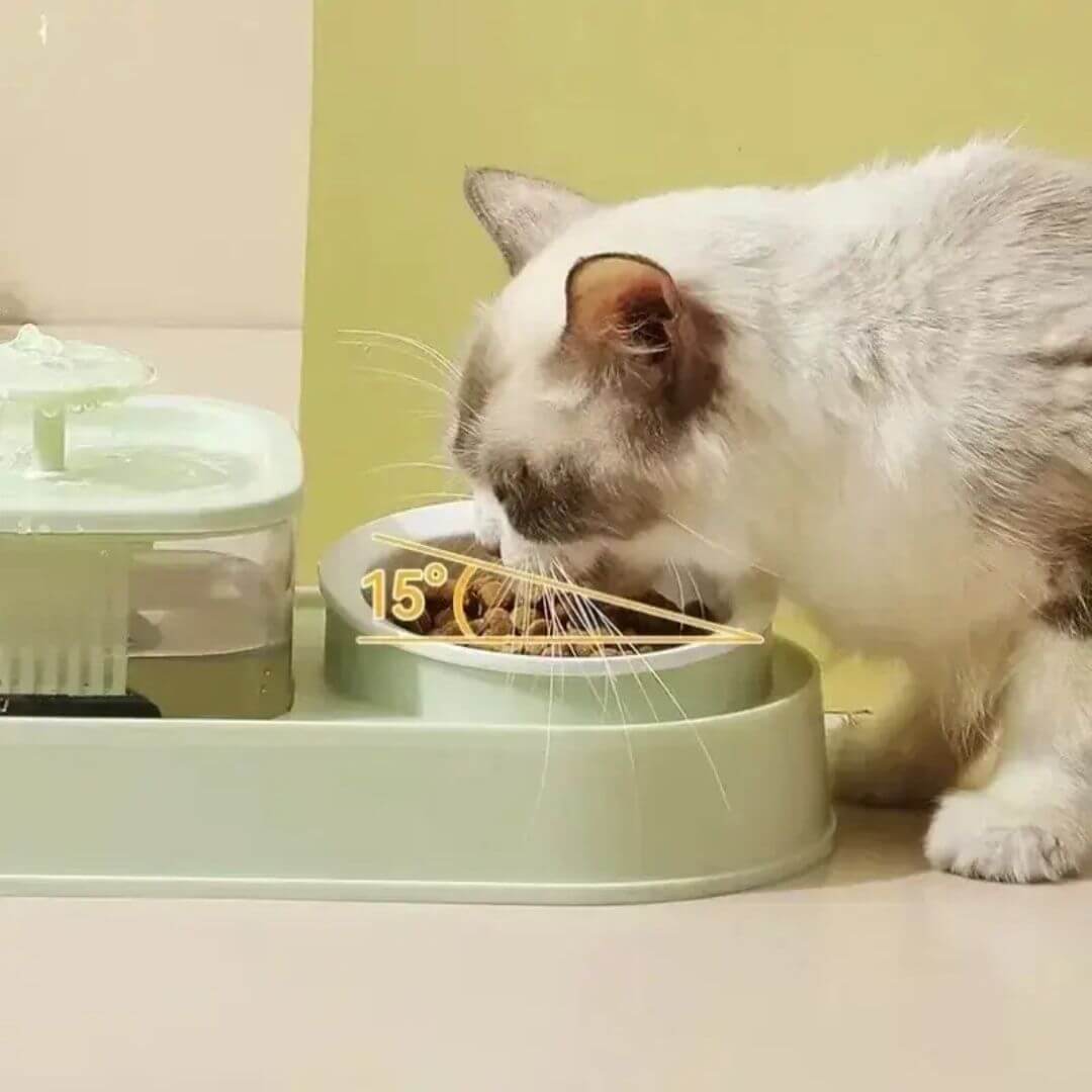 FONTAINE A EAU CHAT | Mangeoire intégrée™ - opaschats